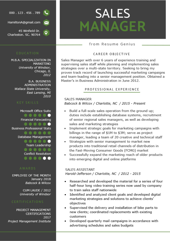 Sales Personnel resume summary